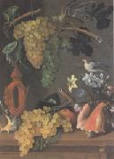 Juan de  Espinosa Still Life with Grapes (san 05) oil on canvas